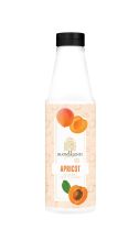 Buontalenti Apricot Gourmet Fruity Topping